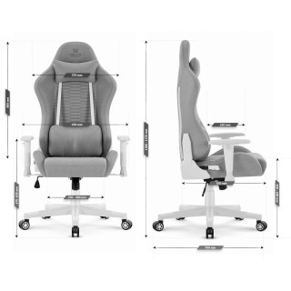 Sivo-beli blagajniški igralni stol HELLS CHAIR HC-2000