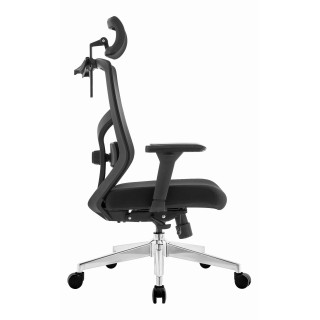 Ergonomski vrtljivi pisarniški stol ERGONOBLE 3050