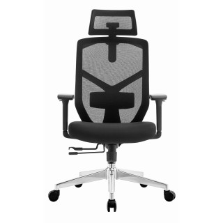 Ergonomski vrtljivi pisarniški stol ERGONOBLE 3050