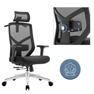 Ergonomski vrtljivi pisarniški stol ERGONOBLE 3050