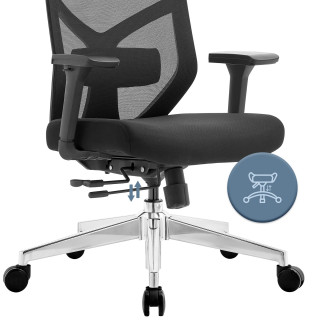 Ergonomski vrtljivi pisarniški stol ERGONOBLE 3050