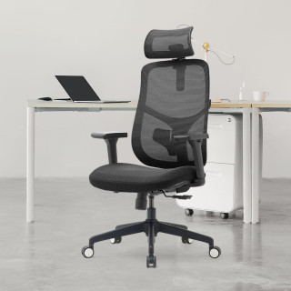 Vrtljiv ergonomski pisarniški stol ERGONOBLE 3051