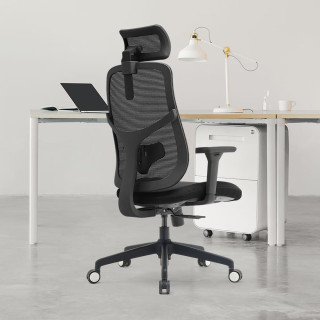 Vrtljiv ergonomski pisarniški stol ERGONOBLE 3051