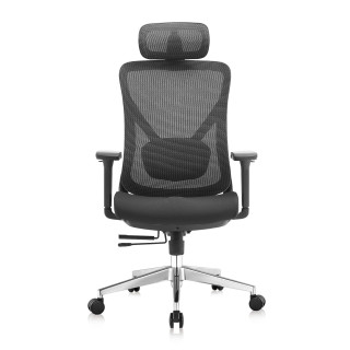 Ergonomski vrtljivi pisarniški stol ERGONOBLE 3052