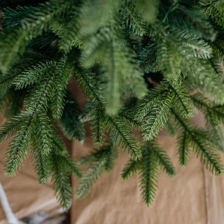 Gosta ekskluzivna smreka za božično drevo - 150 cm -
