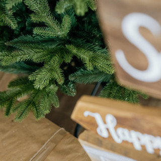 Gosta ekskluzivna smreka za božično drevo - 150 cm -