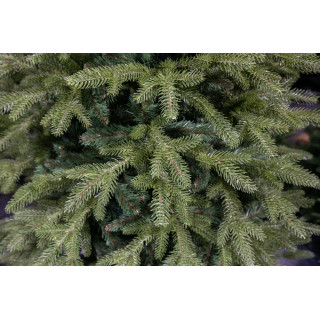 Gosta ekskluzivna smreka za božično drevo - 150 cm -