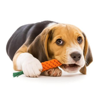 Komplet igrač za pse