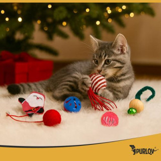 Komplet igrač za mačke