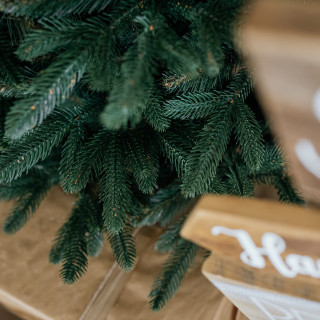 Ekskluzivno božično drevo iz goste smreke - 180 cm
