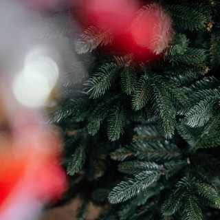 Ekskluzivno božično drevo iz goste smreke - 180 cm