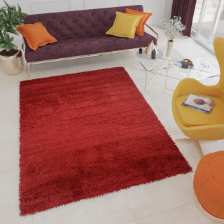 Rdeča preproga Shaggy