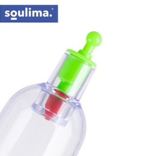 Kitajsko vakuumsko konzerviranje