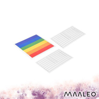 Mapa za dokumente A4 z elastiko