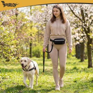 Pas za boke z vrvico