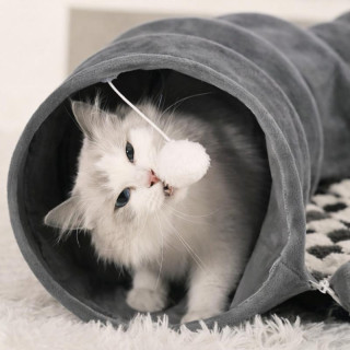 Igralni tunel s cofki in ležiščem za mačke