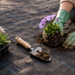 Črni UV agrotekstil proti plevelu 135 g - 1,6 x 50 m