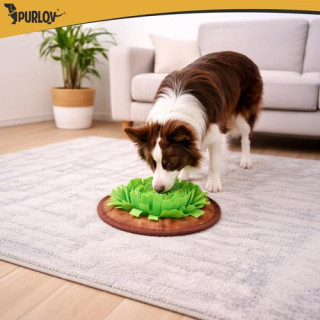 Podloga za vohanje priboljškov za pse